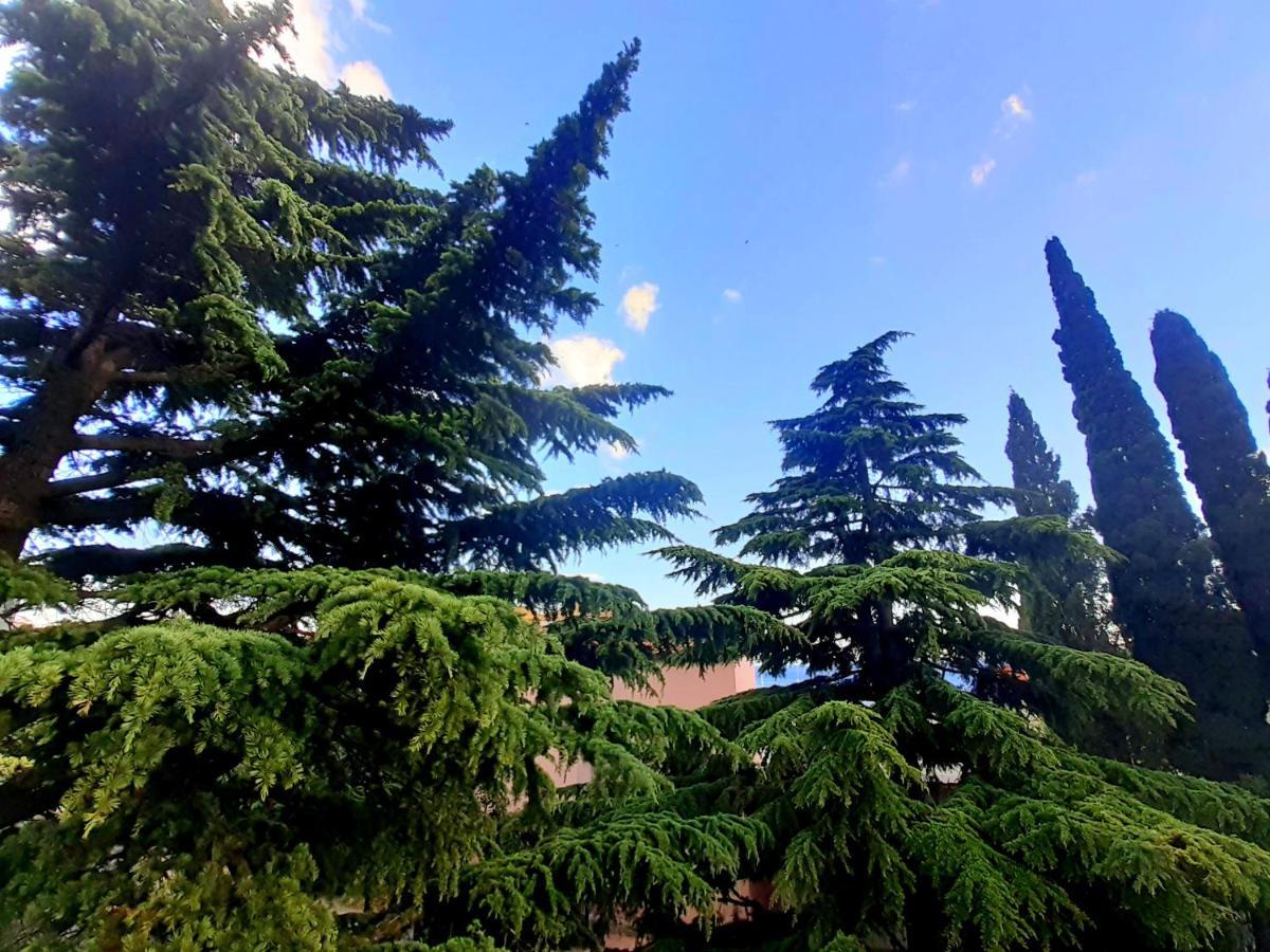 Villa Libe Baška Voda Esterno foto