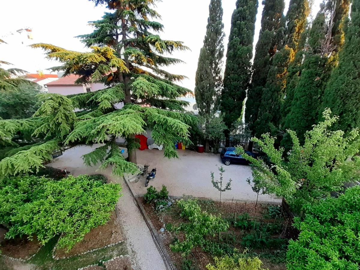 Villa Libe Baška Voda Esterno foto
