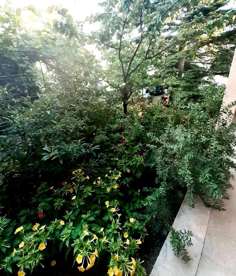 Villa Libe Baška Voda Esterno foto